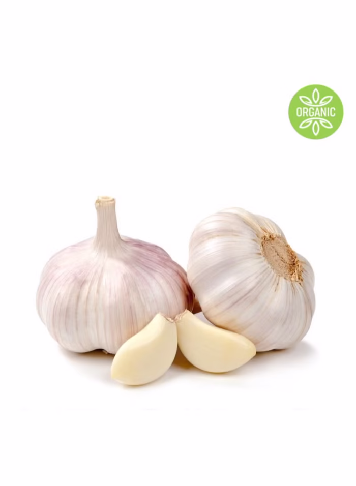 Garlic - Image 1