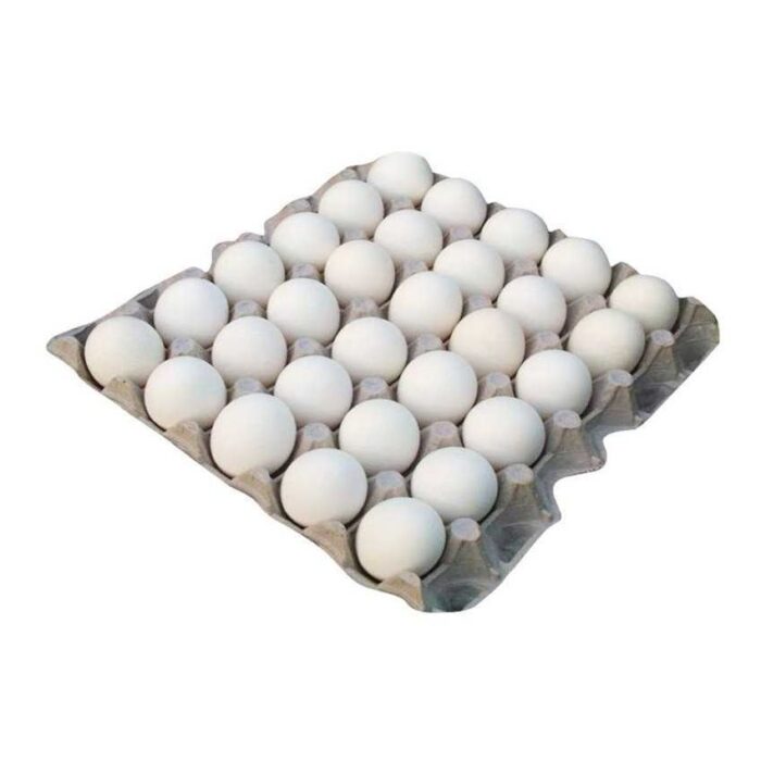AL AZRA EGG WHITE LARGE 30 - Image 1
